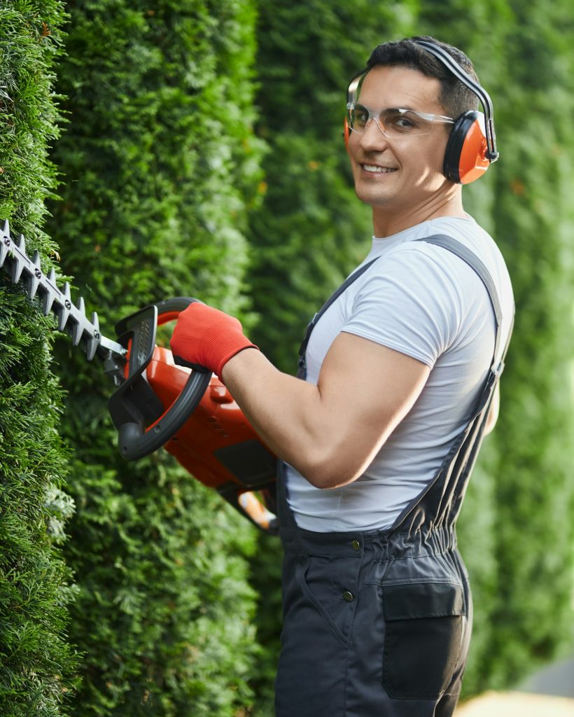 Gardener in uniform cutting hedge on back yard